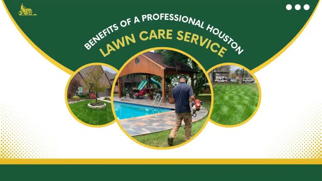 Benefits of professional Houston lawn care graphic