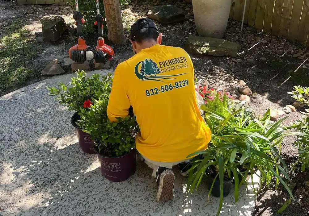Man caring for plants readying for planting