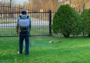 Professional landscaper applying liquid fertilizer to front lawn for healthy green grass