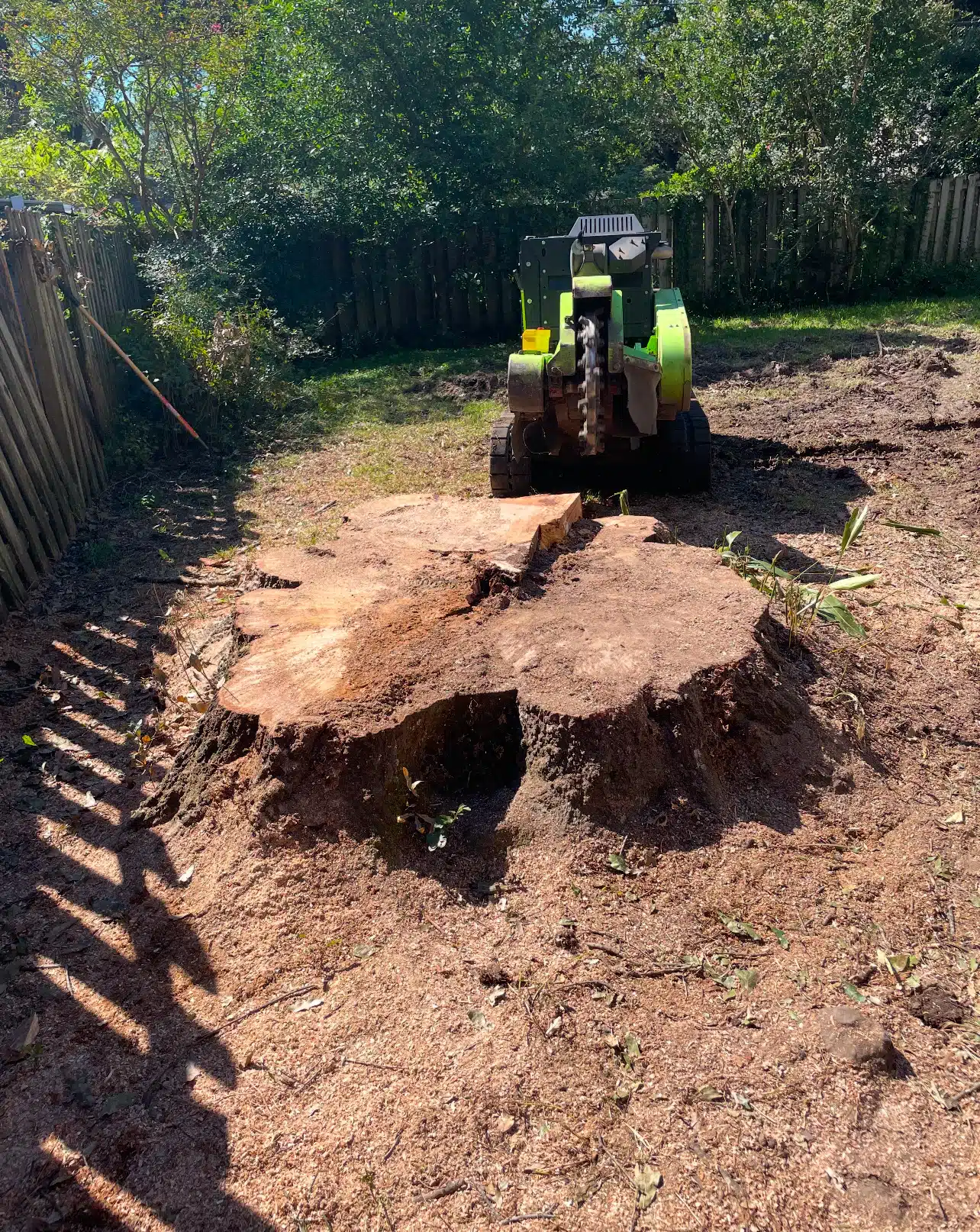 Stump grinding equipment positioned to remove a large tree stump, ready for efficient and professional stump grinding service.