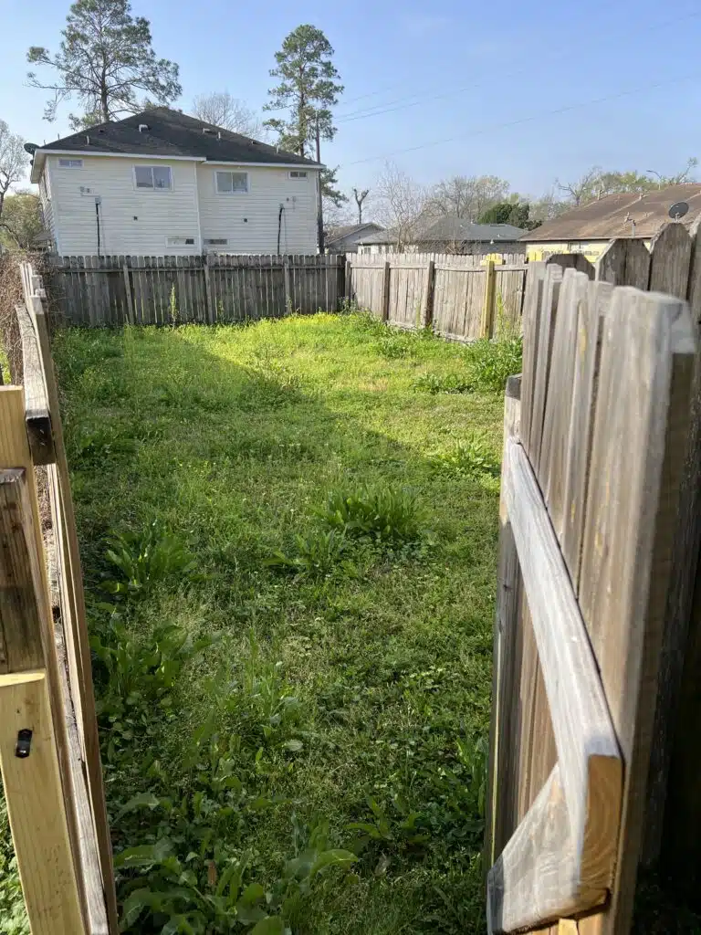 Backyard property cleanup before the service
